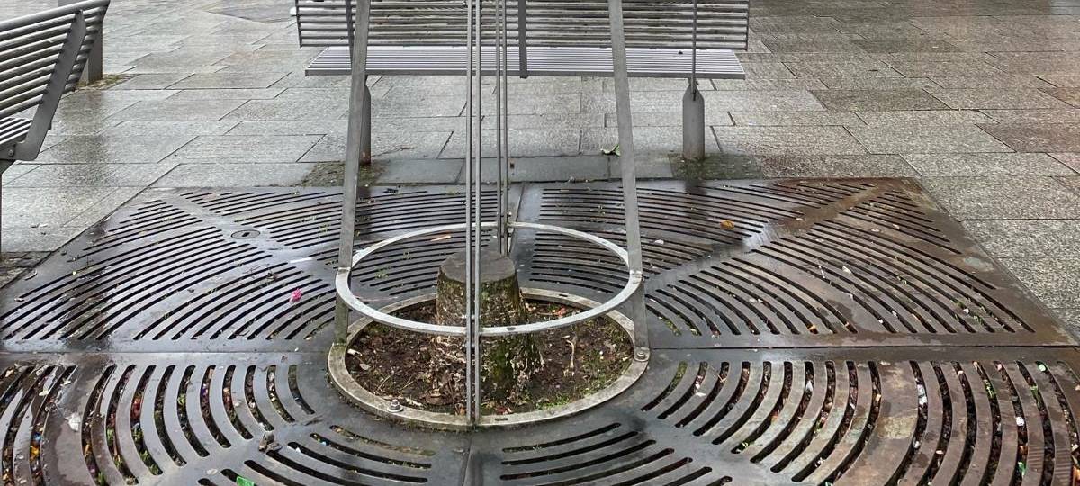 WAS GEHT?! - Sein Freund, der Baum