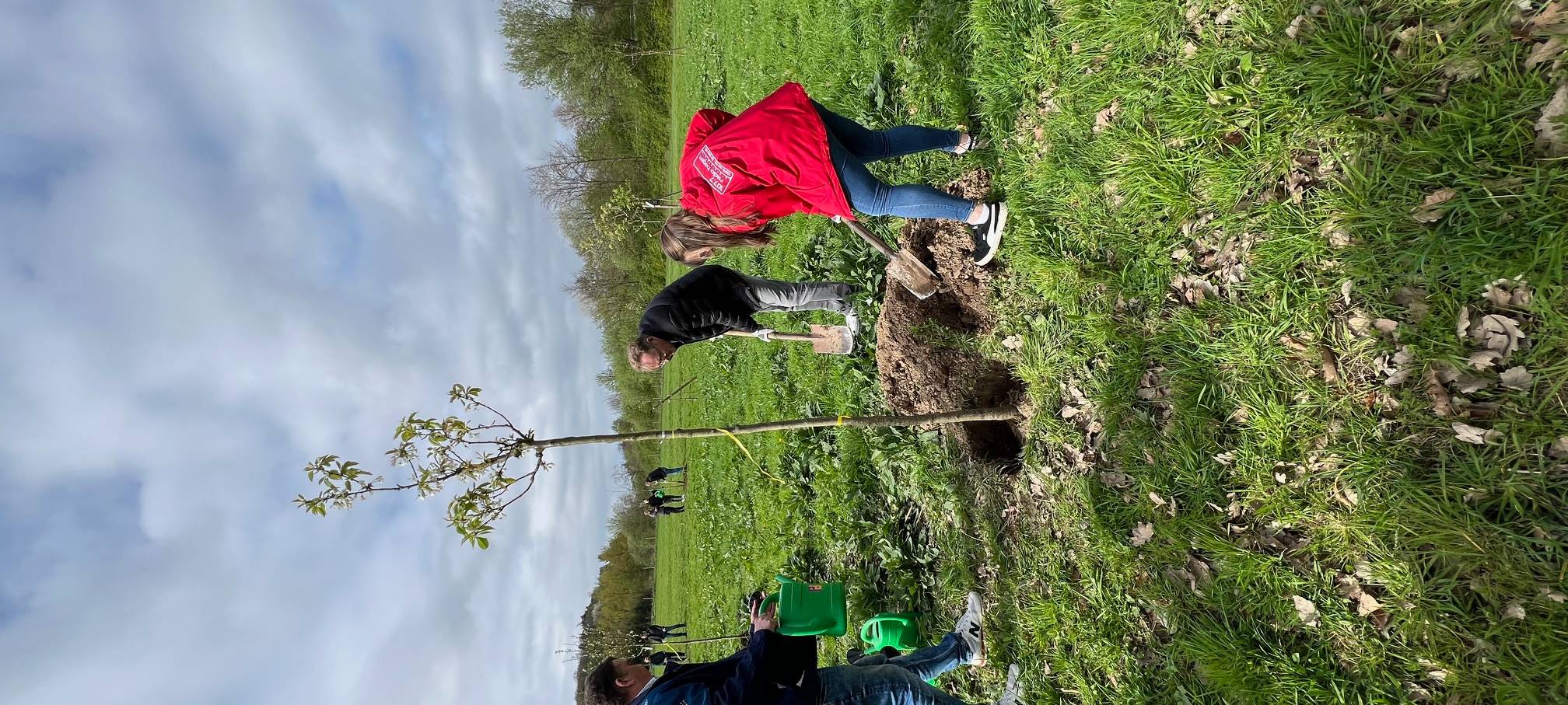 Nistkästen und Obstbäume für Gut Kuhweide