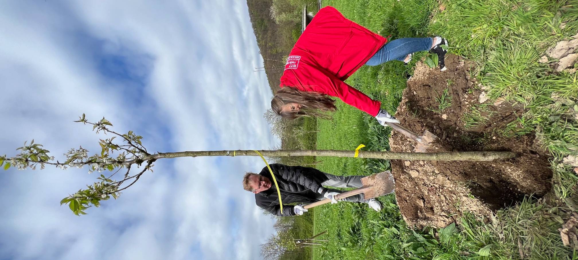 Nistkästen und Obstbäume für Gut Kuhweide