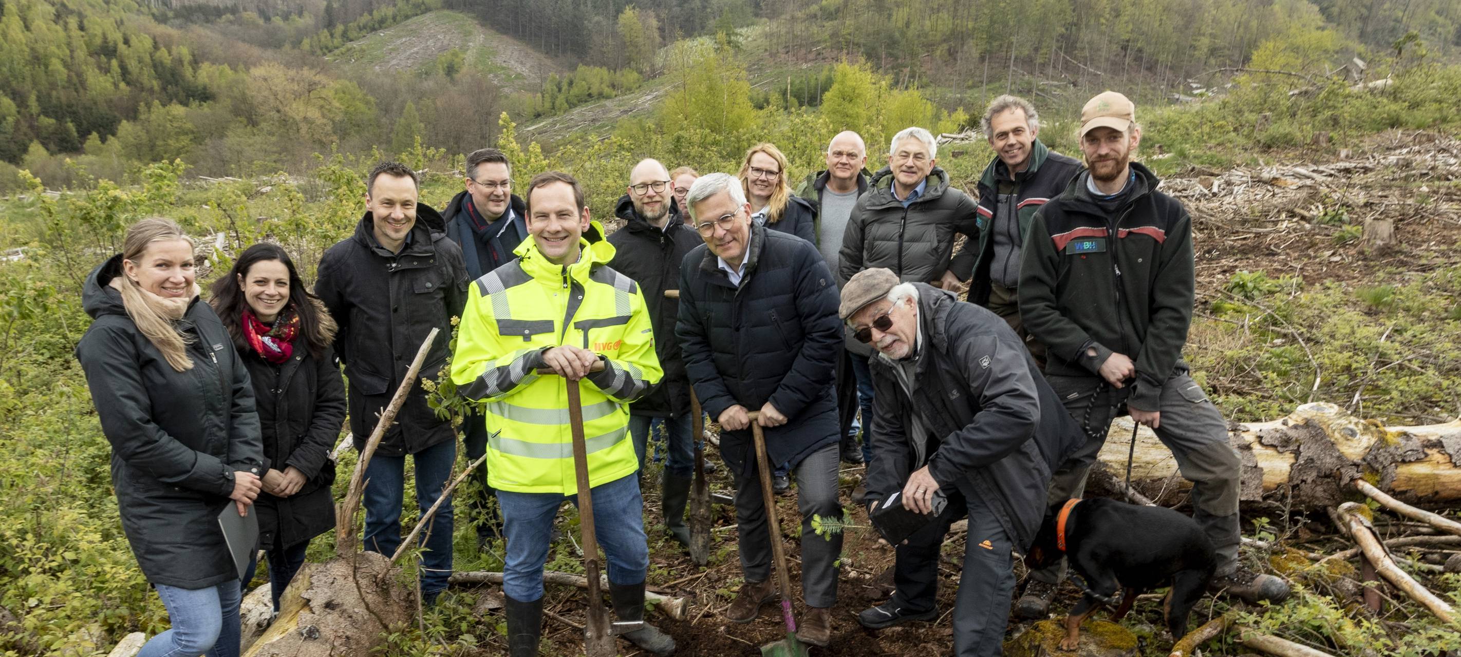 Neue Bäume für Hagen