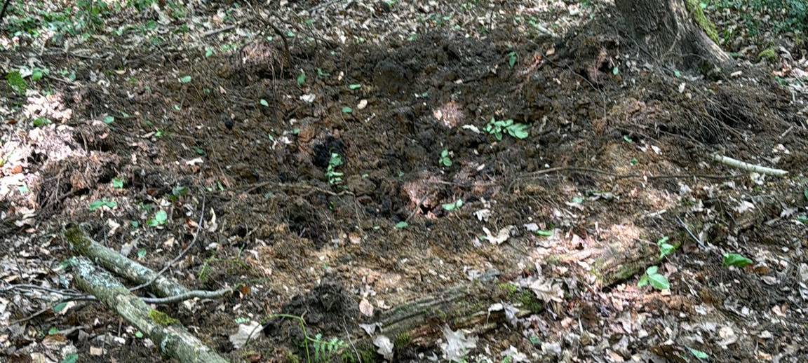 Schälk: Tellermine gesprengt