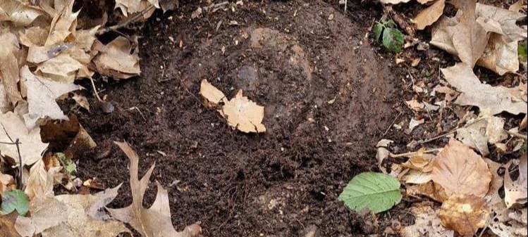 Schälk: Tellermine gesprengt