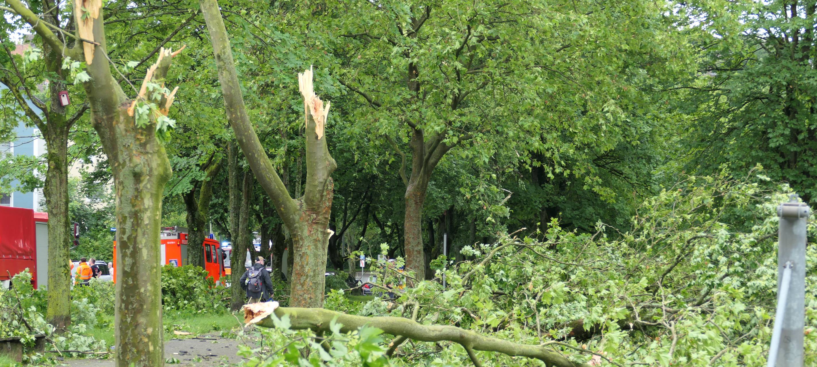 Schneise der Verwüstung nach Sturm in Hagen