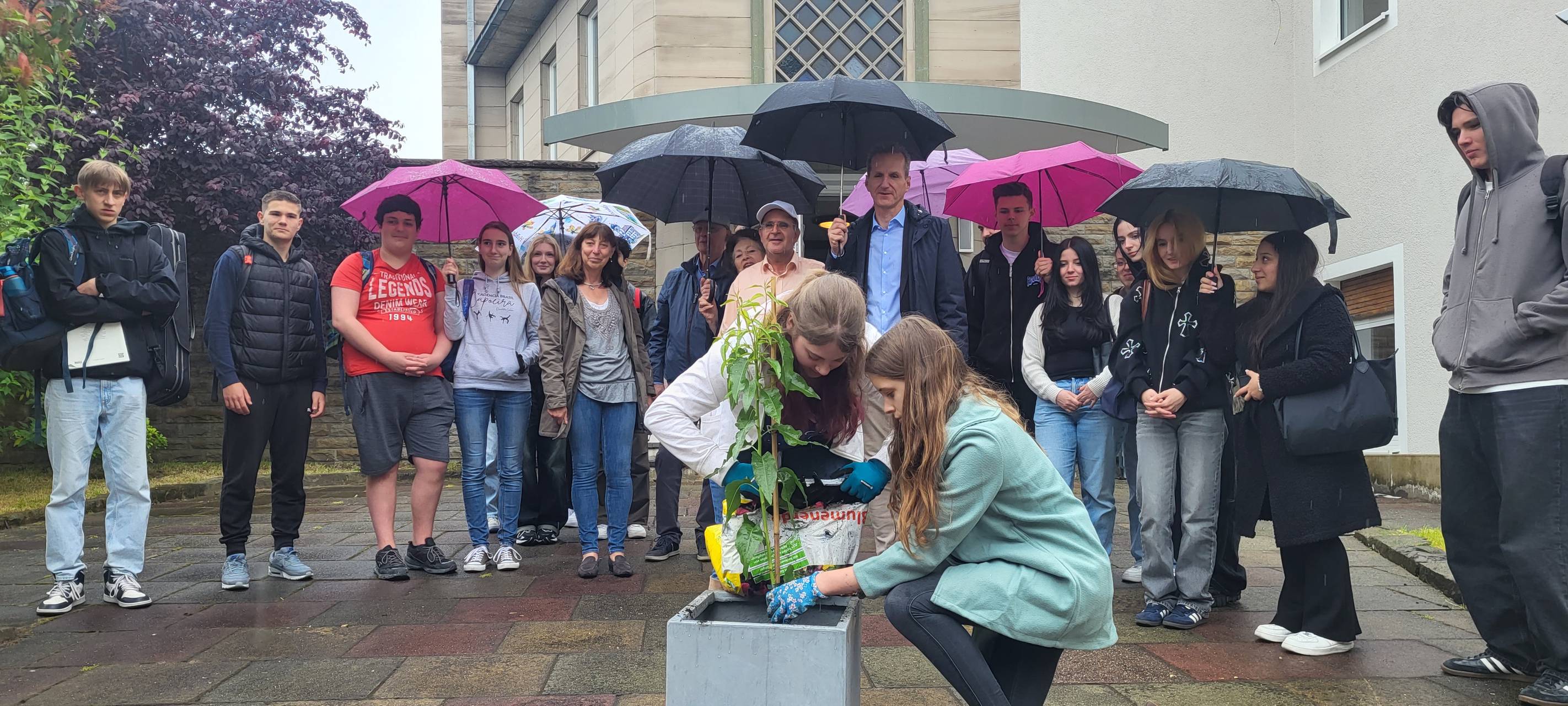 AD pflanzt Mandelbaum