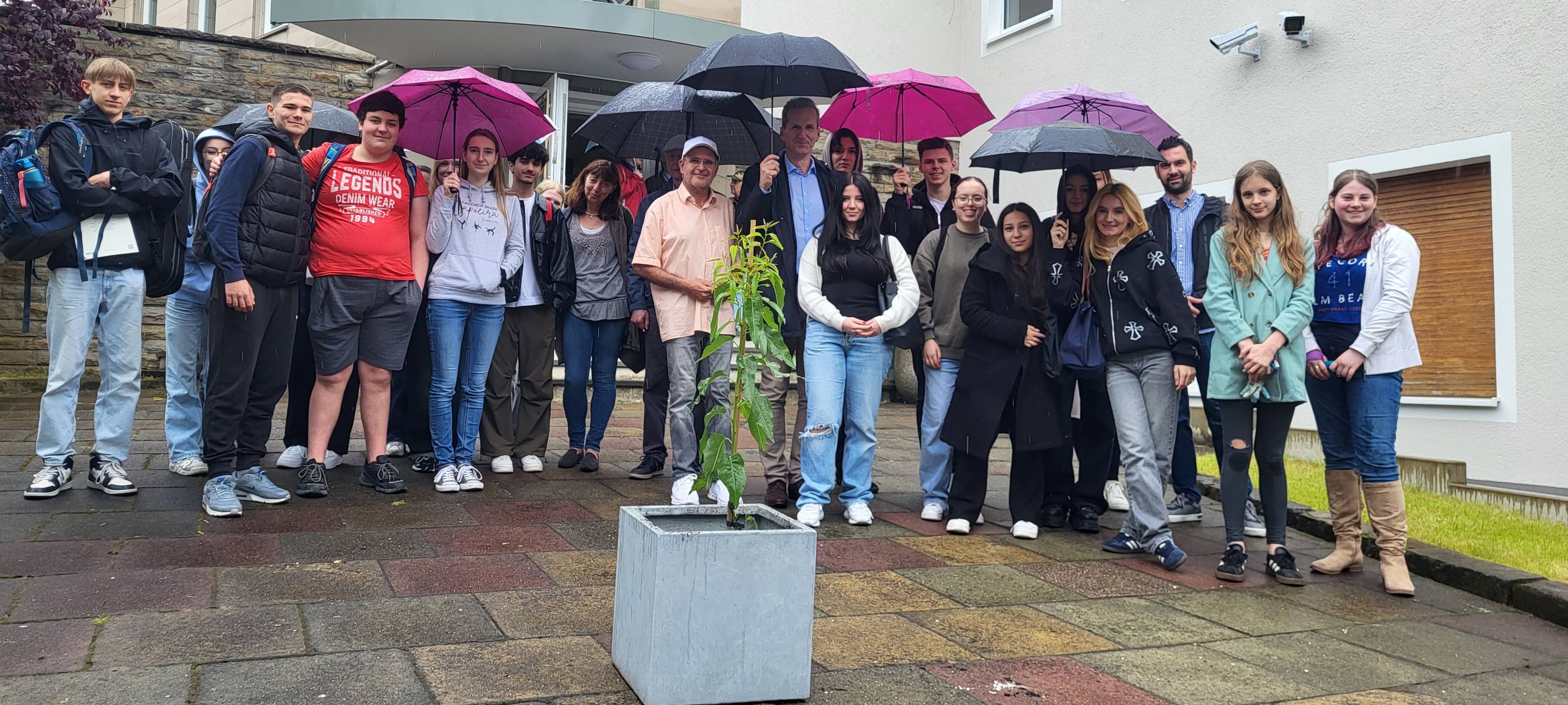 AD pflanzt Mandelbaum