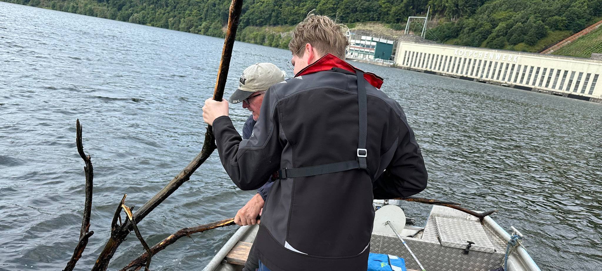 Die Bäume müssen weg...