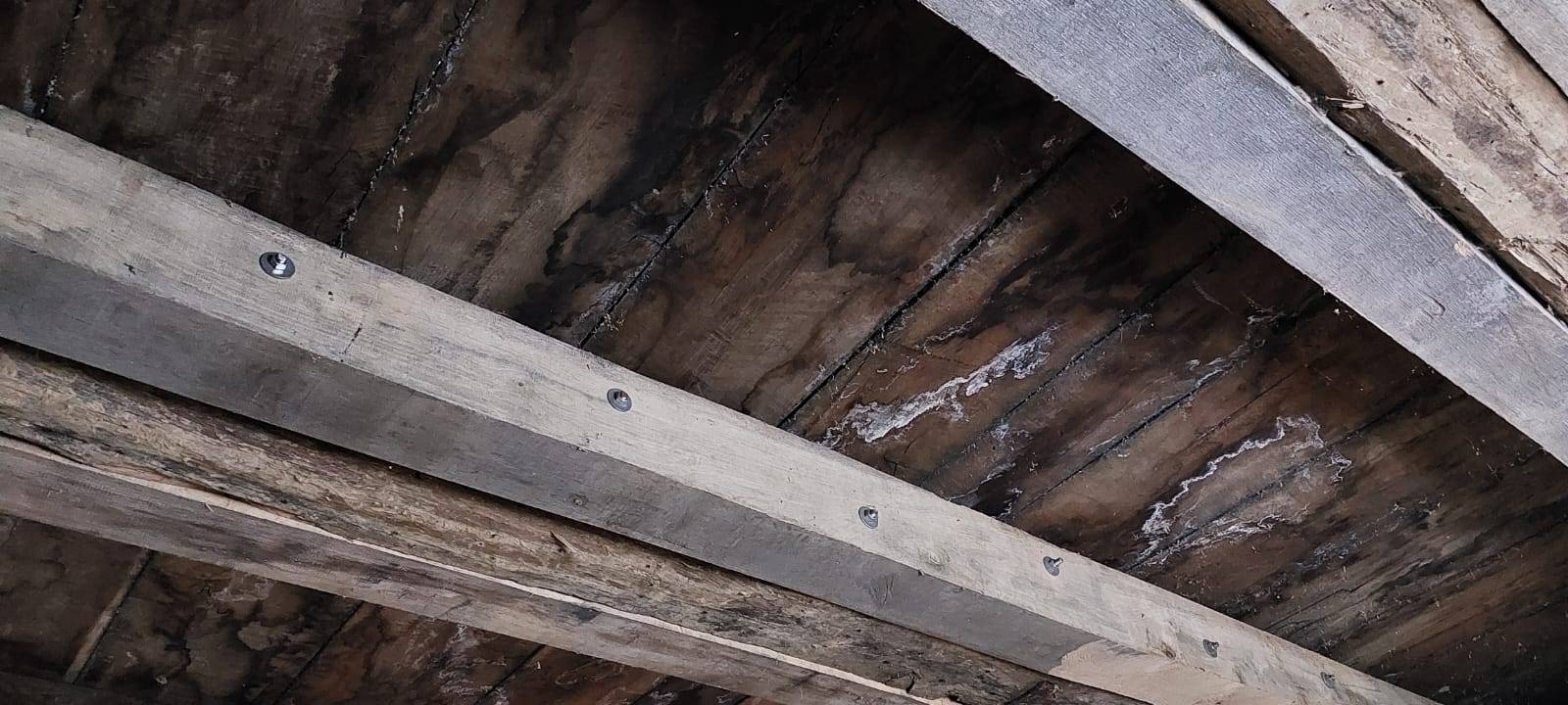 Viele der Dachbalken müssen unterstützt und verstärkt werden.