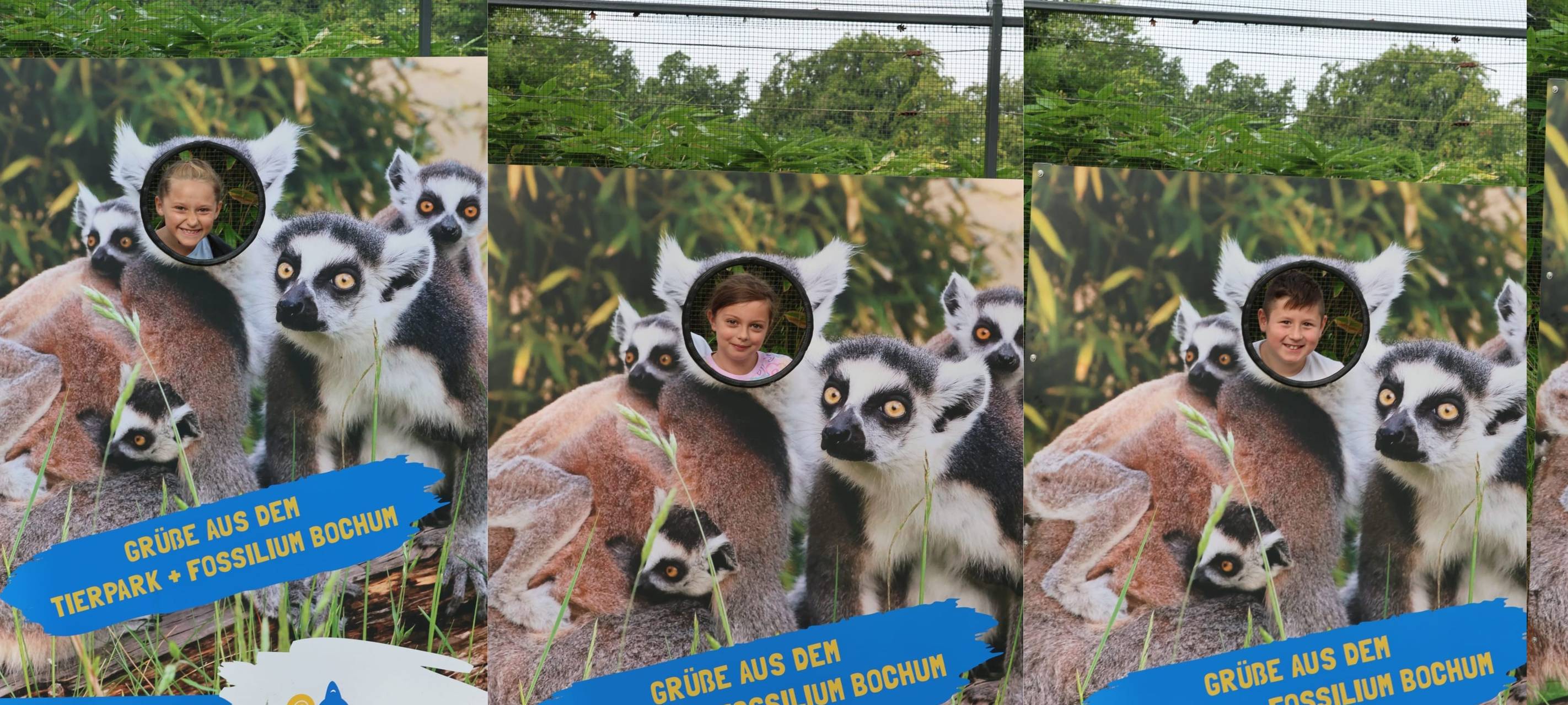 Lichtblicke ermöglicht Zoobesuch