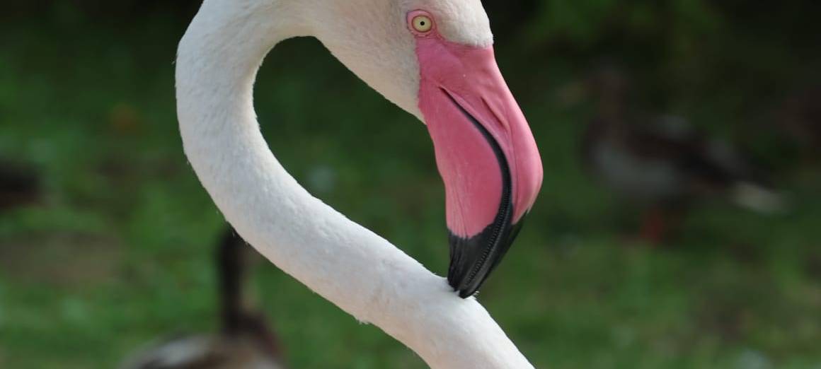 Lichtblicke ermöglicht Zoobesuch