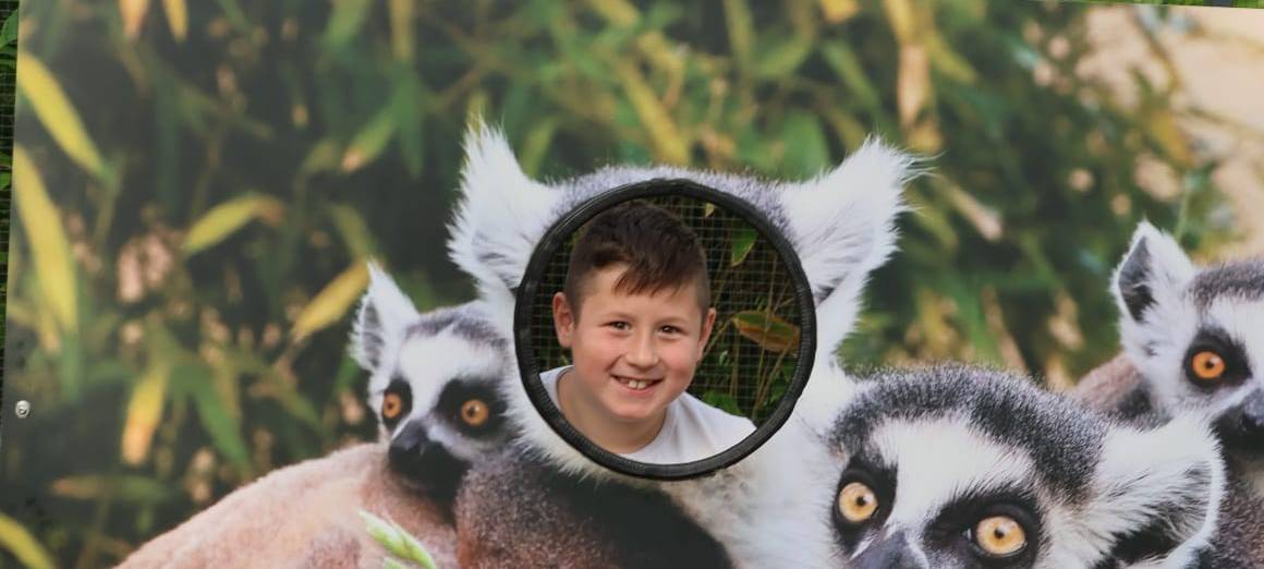 Lichtblicke ermöglicht Zoobesuch