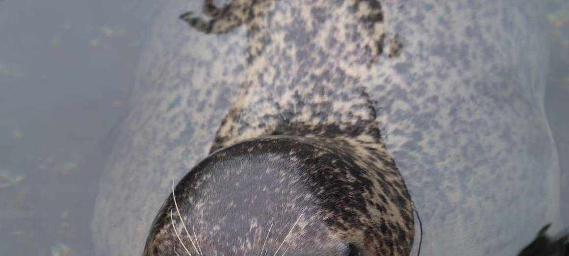 Lichtblicke ermöglicht Zoobesuch