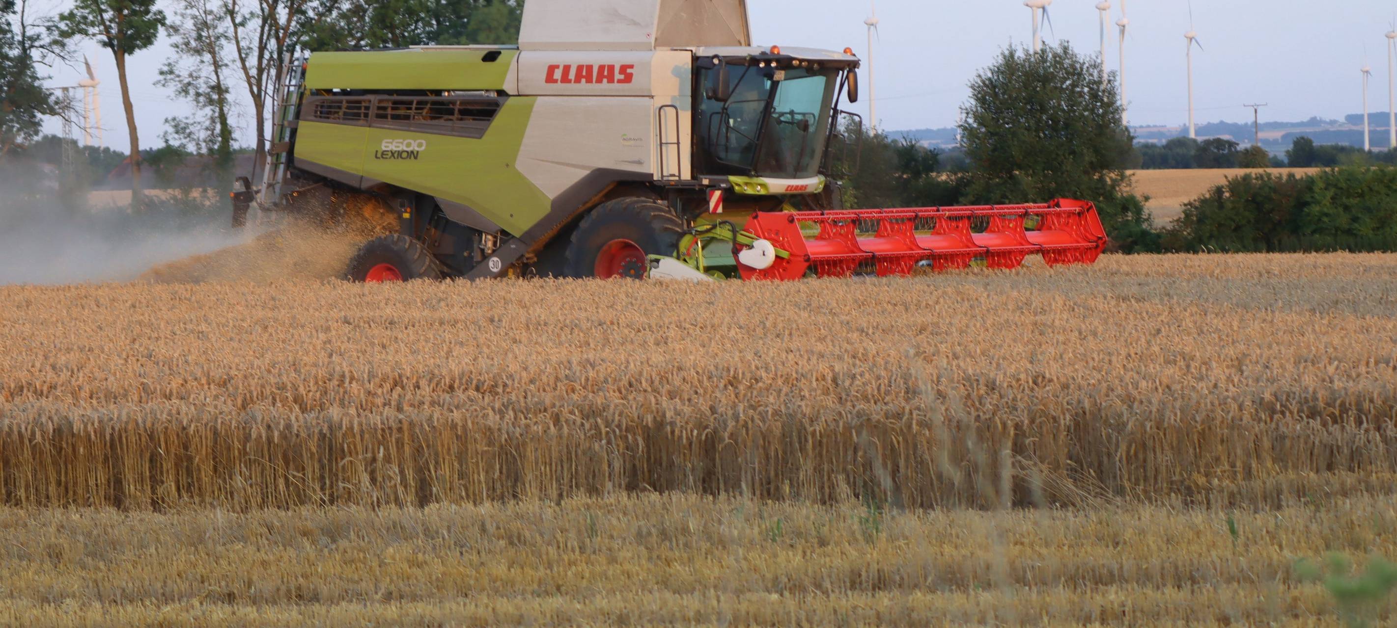 Erntezeit in der Region