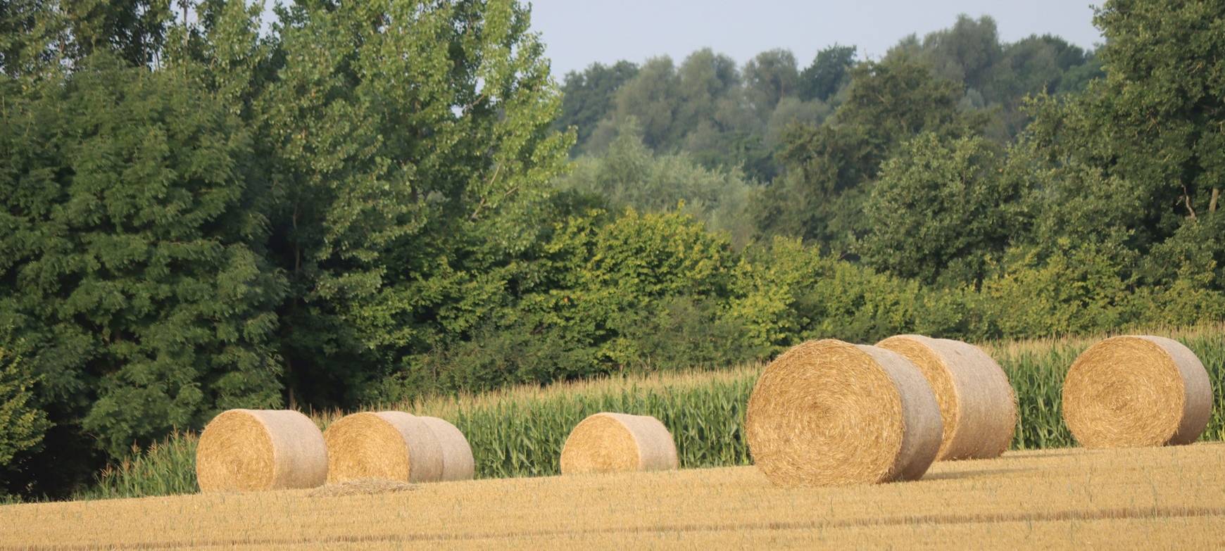 Erntezeit in der Region