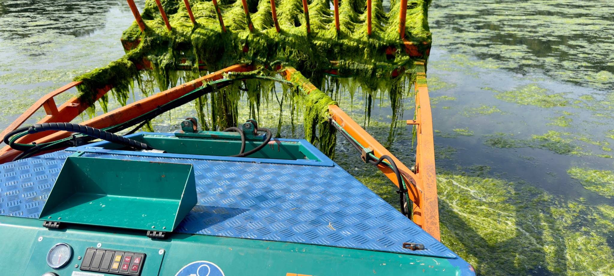 Elodea behindert Rettung