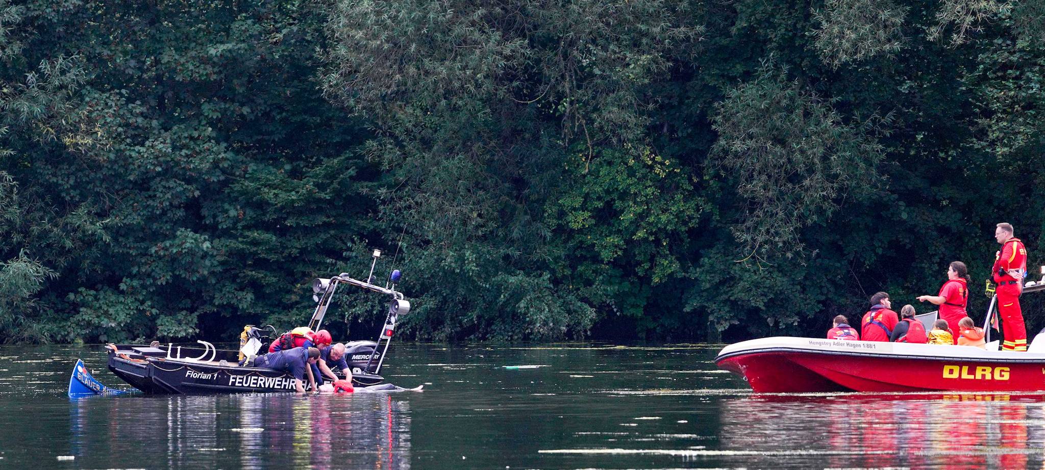 Die DLRG und der Sommer 2024