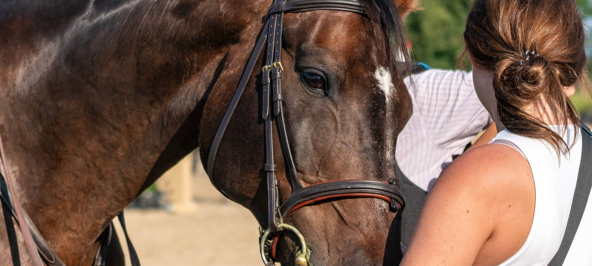 Reitturnier am Tücking