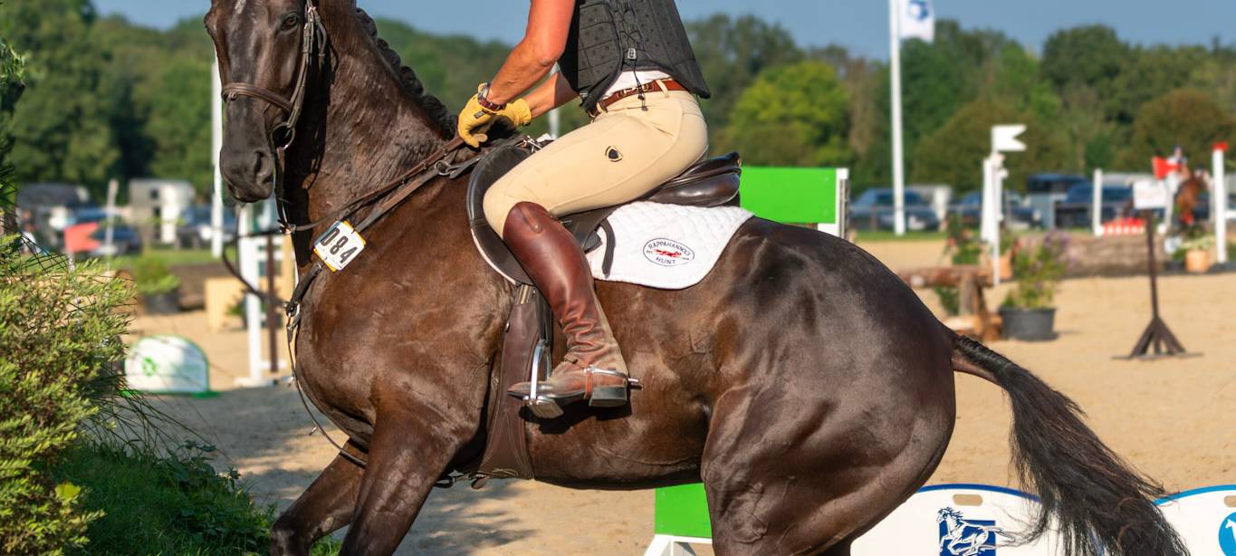 Reitturnier am Tücking