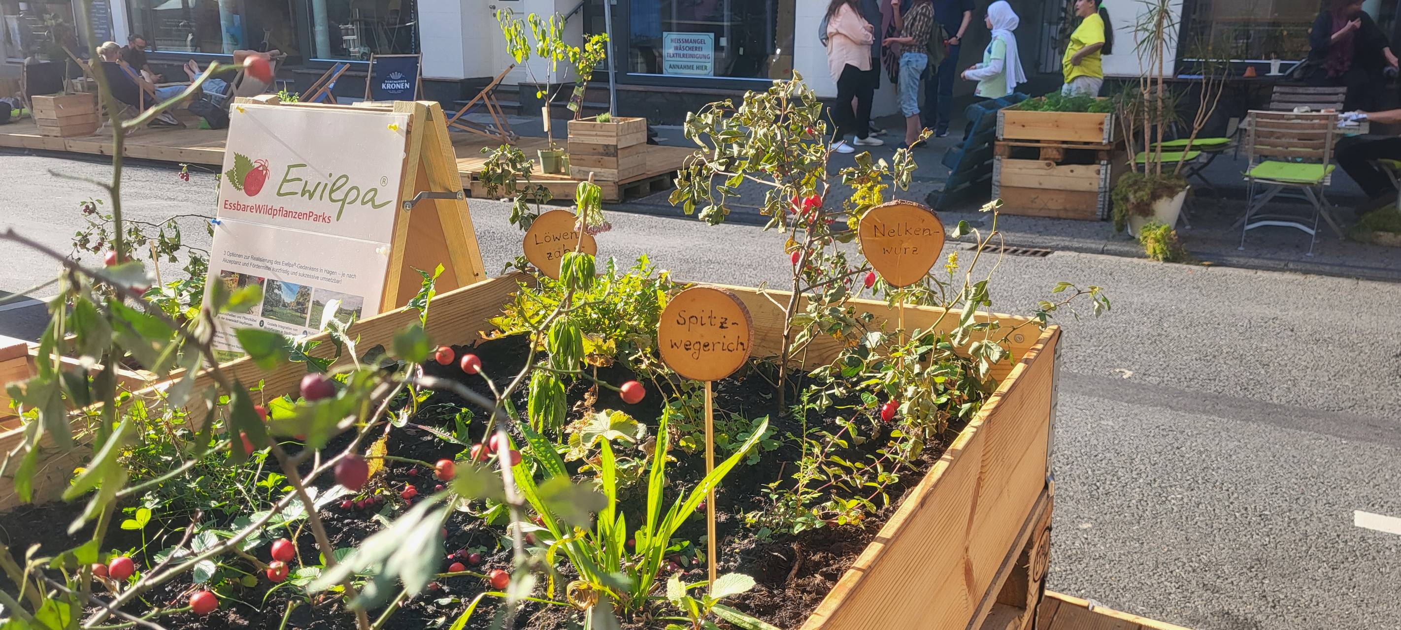 Parking Day in Wehringhausen