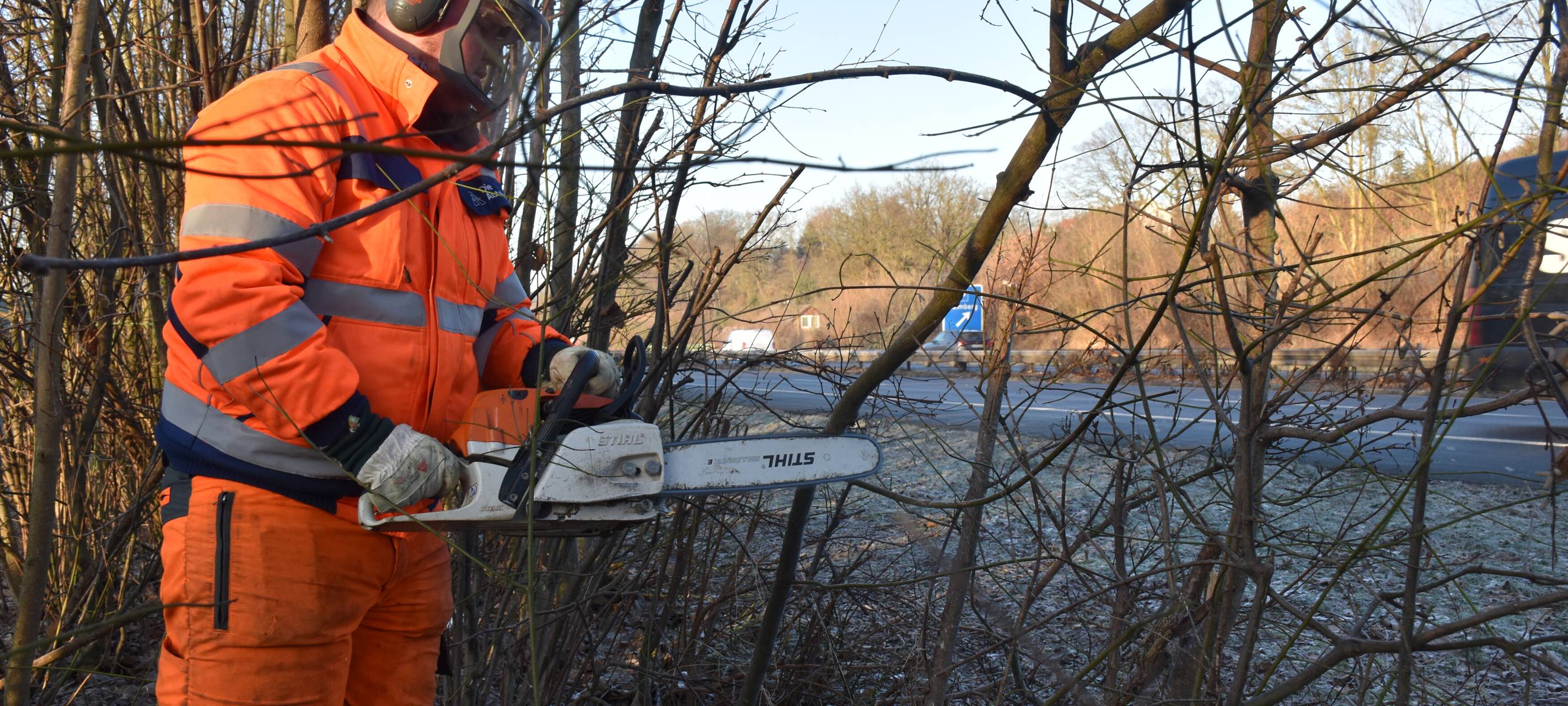 Gehölzschnitt an Autobahnen