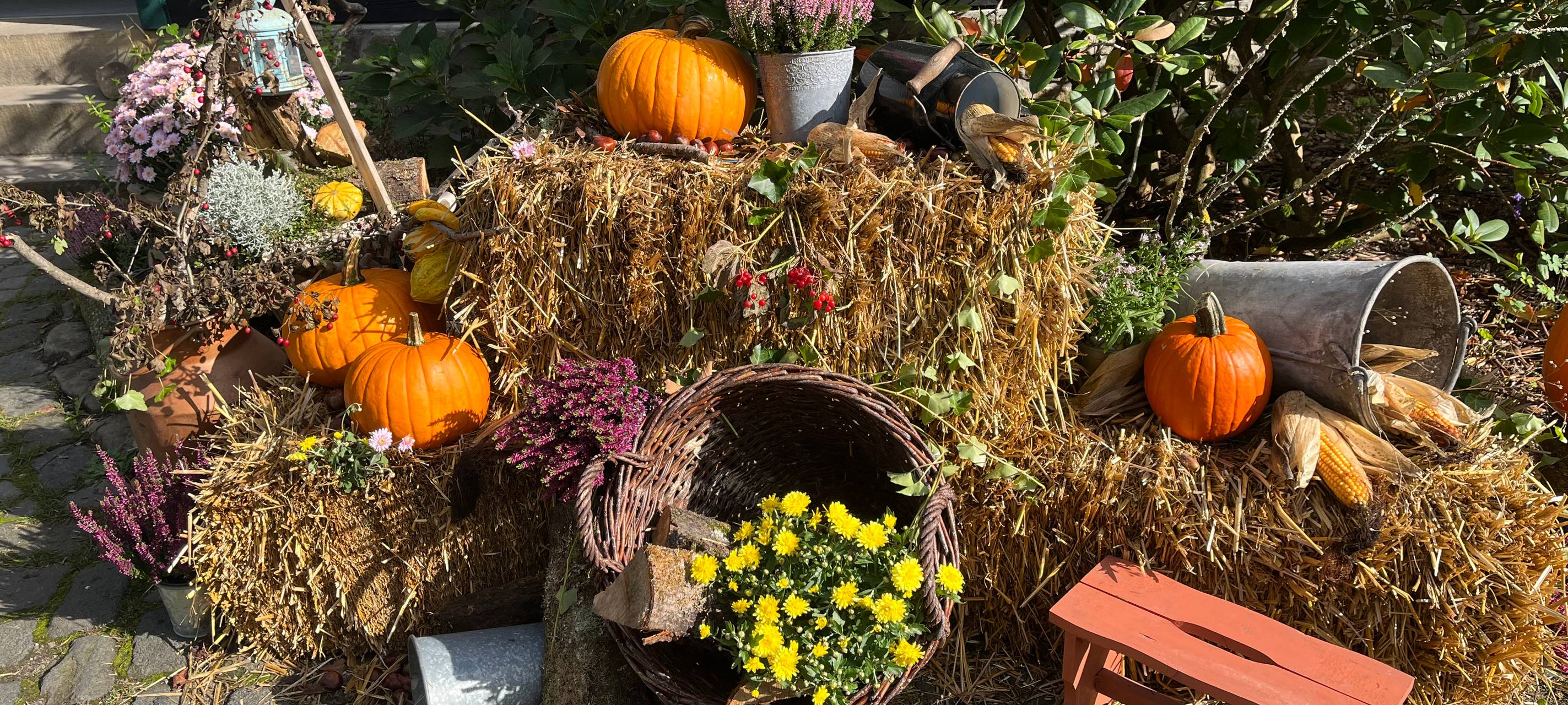 Herbstmarkt im Freilichtmuseum
