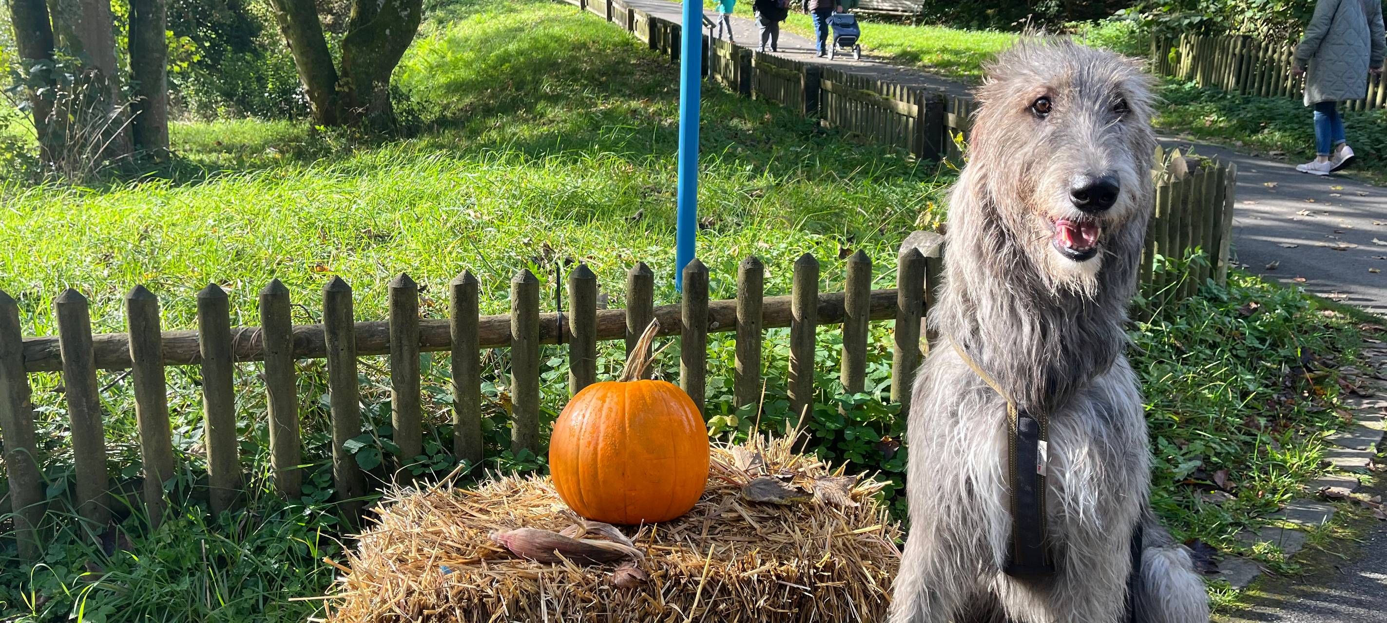 Herbstmarkt im Freilichtmuseum