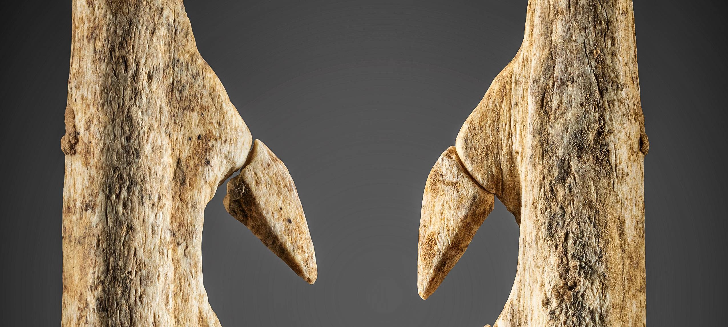 Neue Funde in der Blätterhöhle