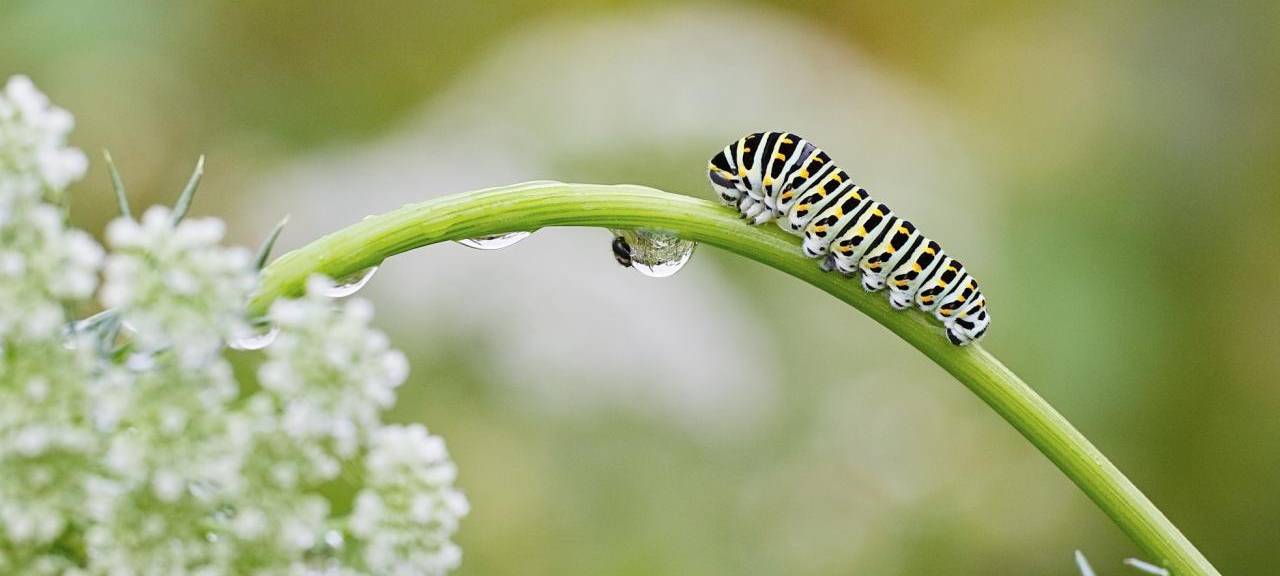 Bild aus Hohenlimburg im NRW-Kalender 2025