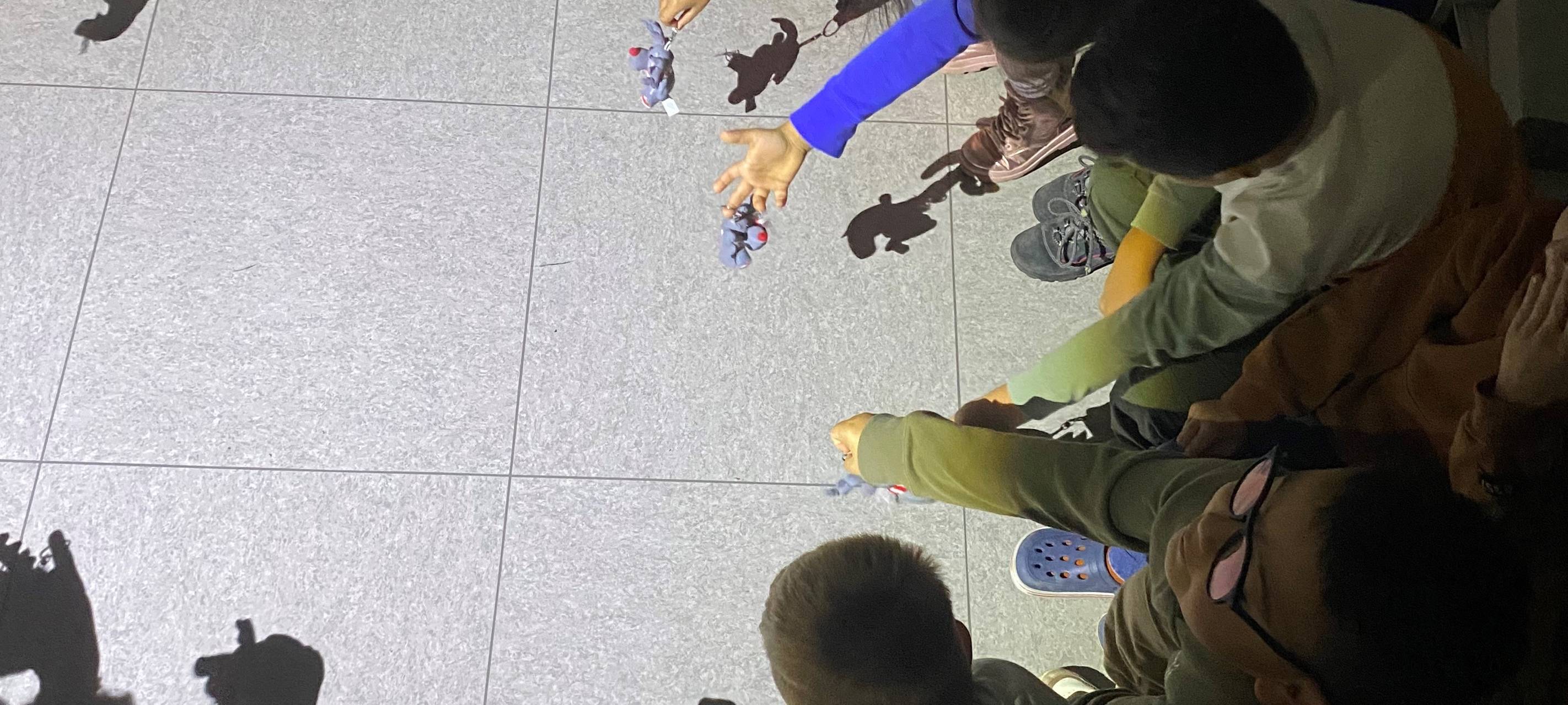 Emil Aktion 2024 - Überblick