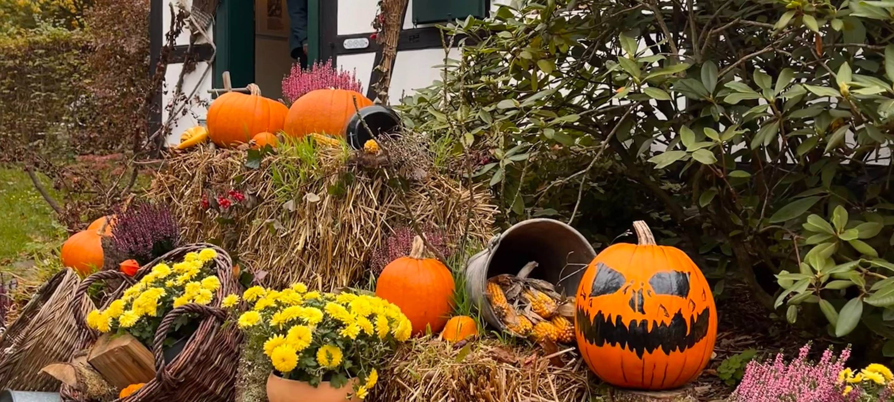 Grusel-Tag im LWL-Freilichtmuseum