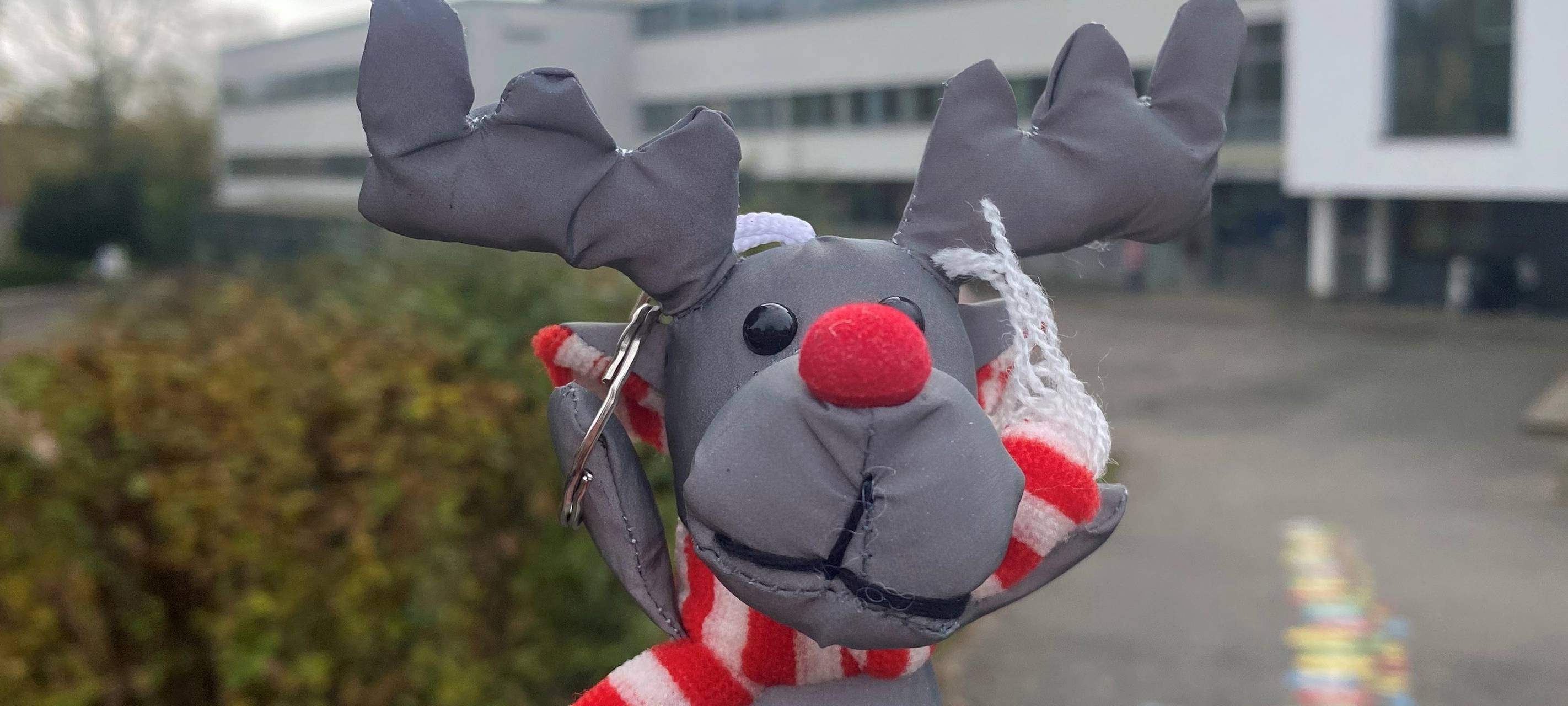 Emil Aktion 2024 - Überblick