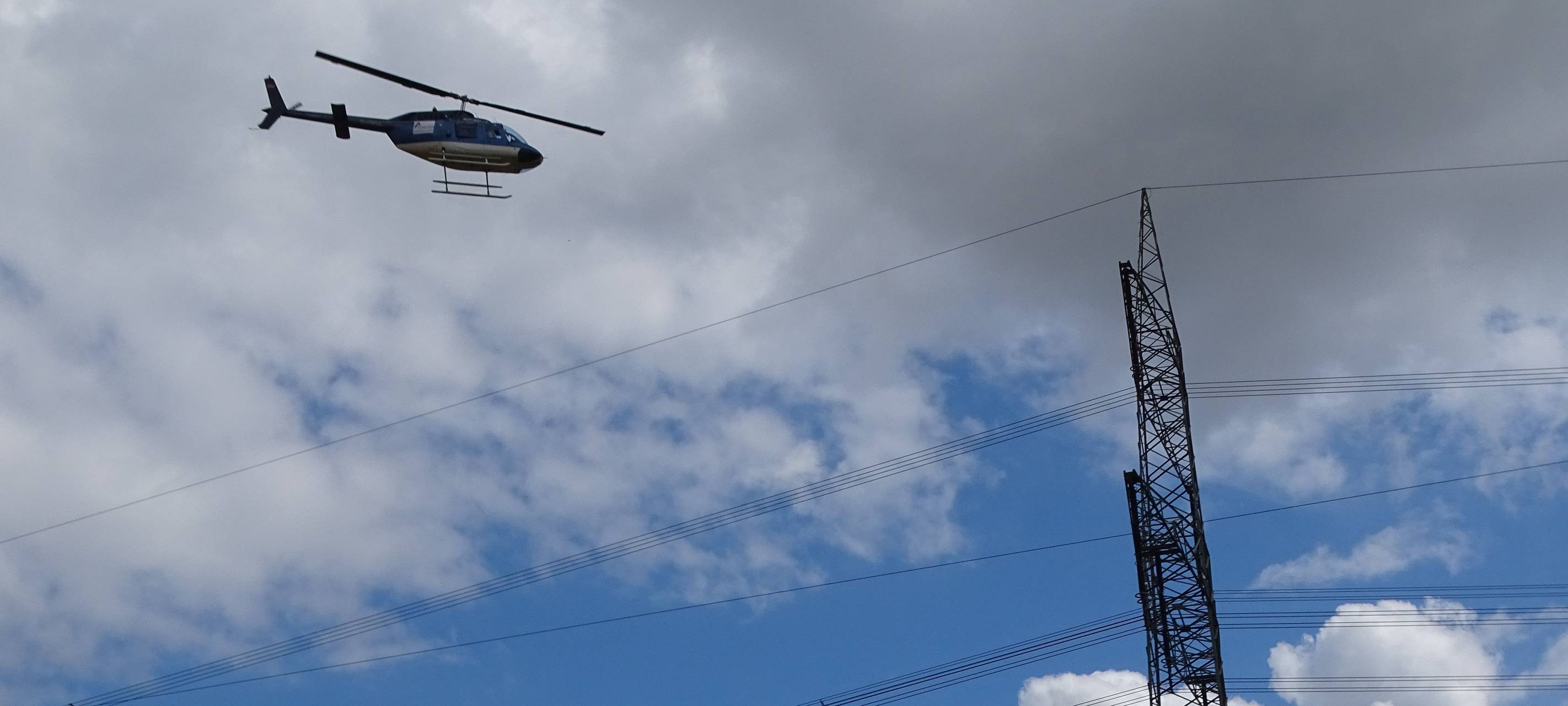 Heli sorgt für Vogelschutz