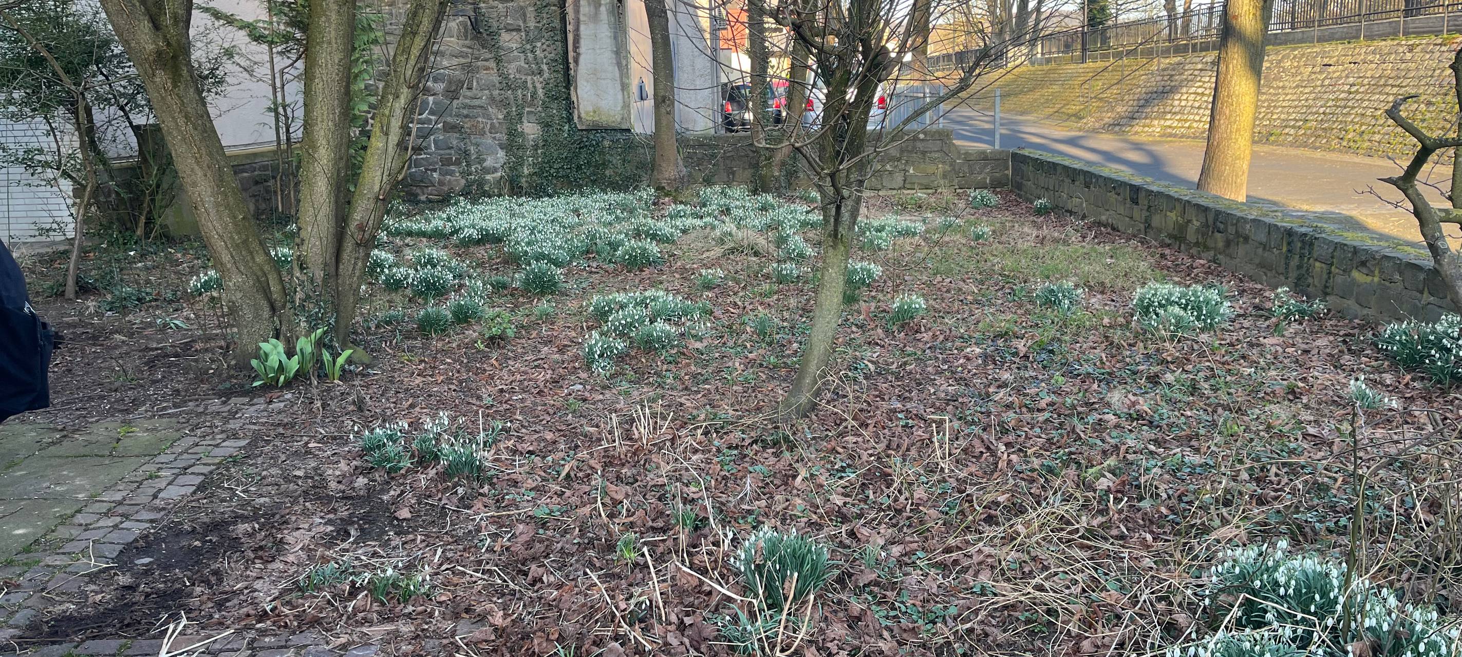 Aus alt macht neu - der verwilderte Kirchgarten in Hohenlimburg wird zum grünen Treffpunkt!