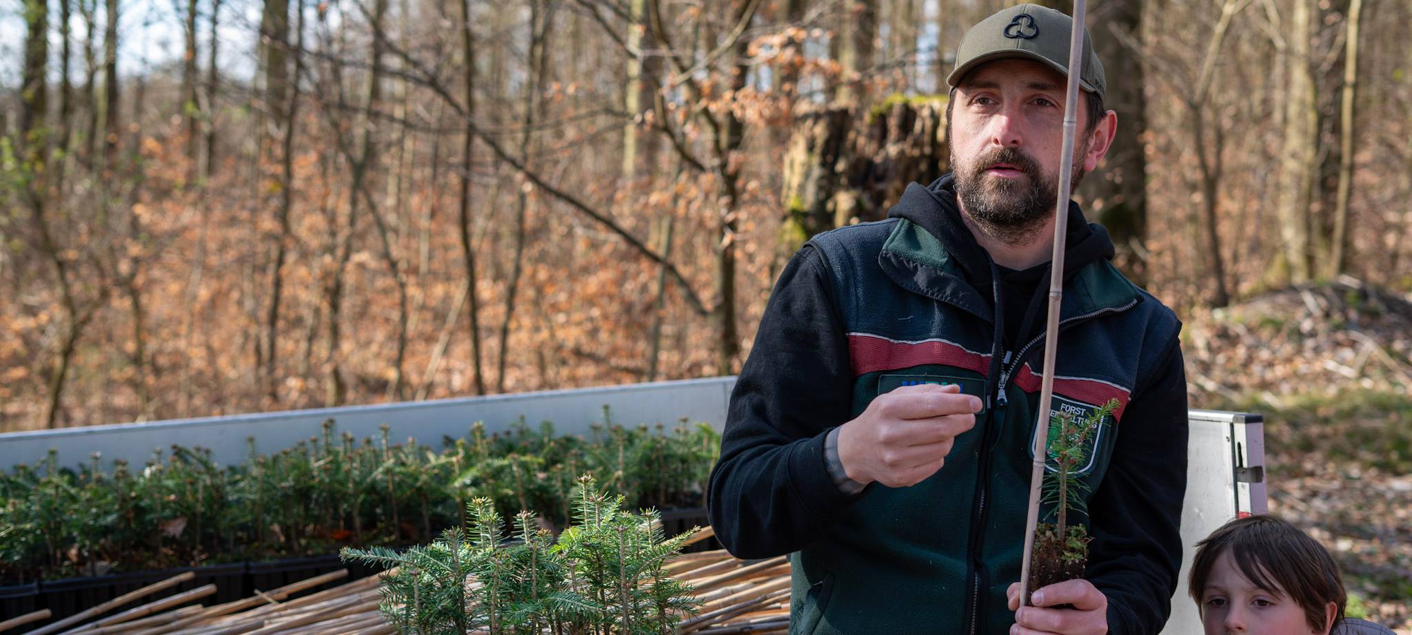 Bäume in den Wald pflanzen...