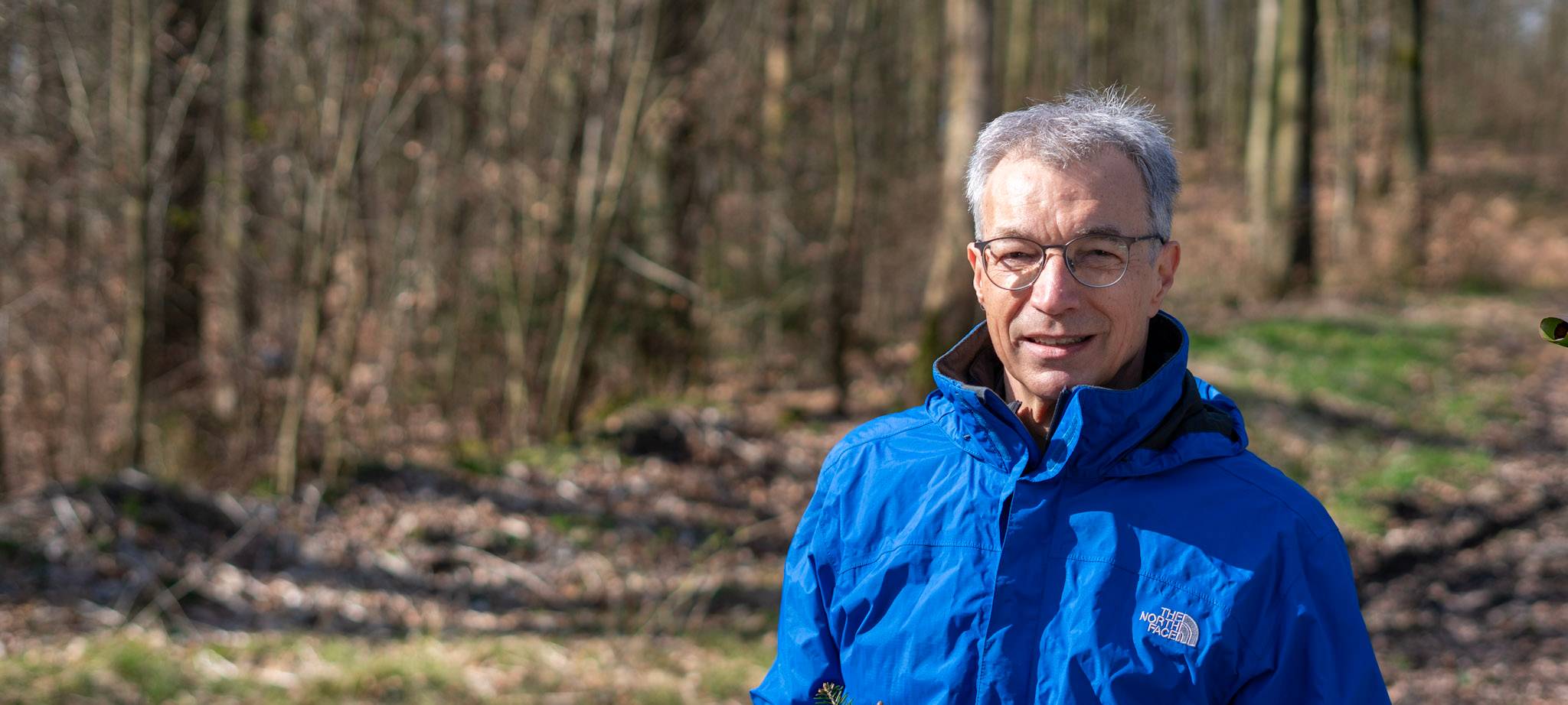 Bäume in den Wald pflanzen...