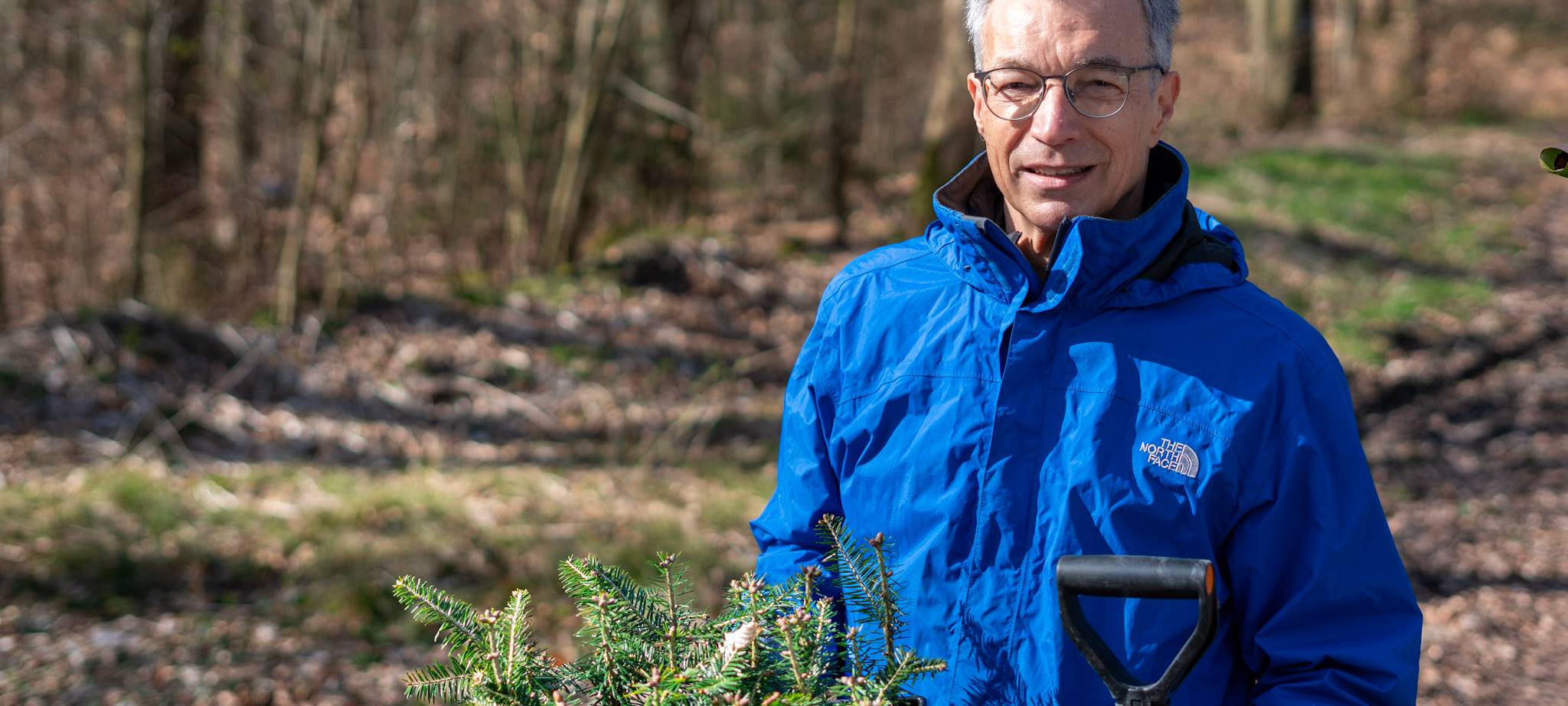 Bäume in den Wald pflanzen...