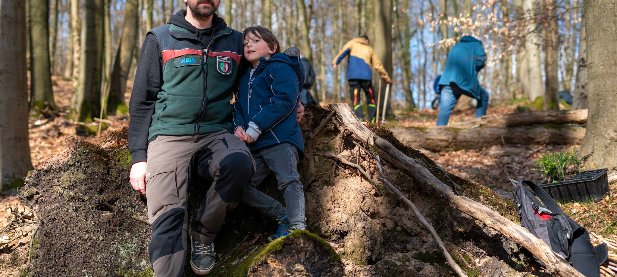 Bäume in den Wald pflanzen...