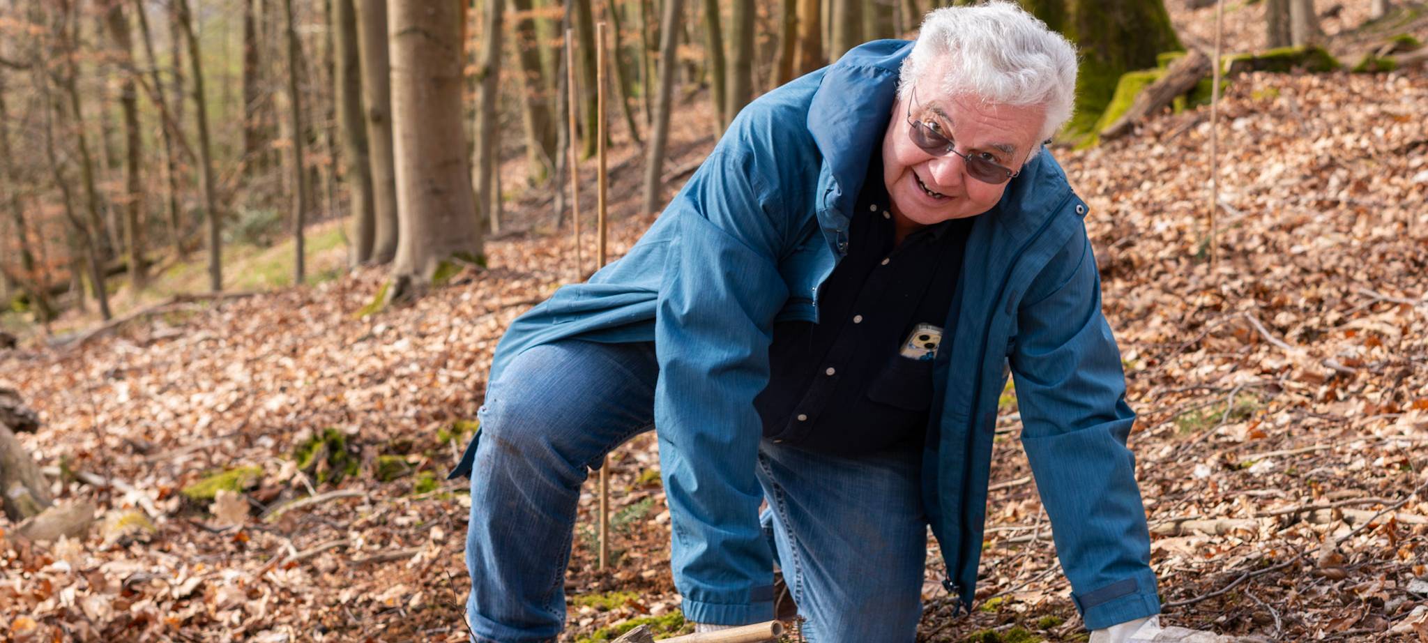 Bäume in den Wald pflanzen...