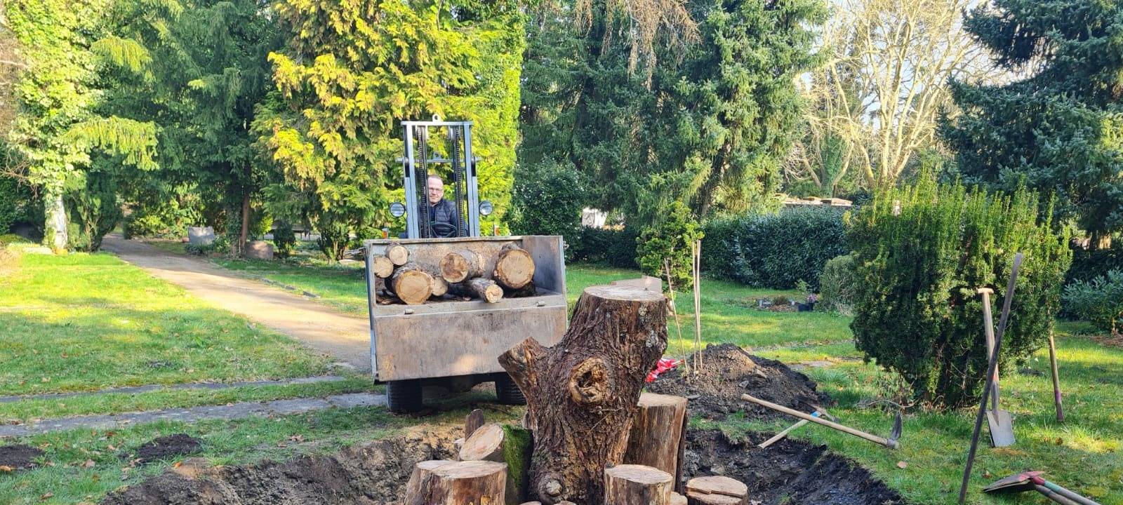 Heuernte in der Stadt