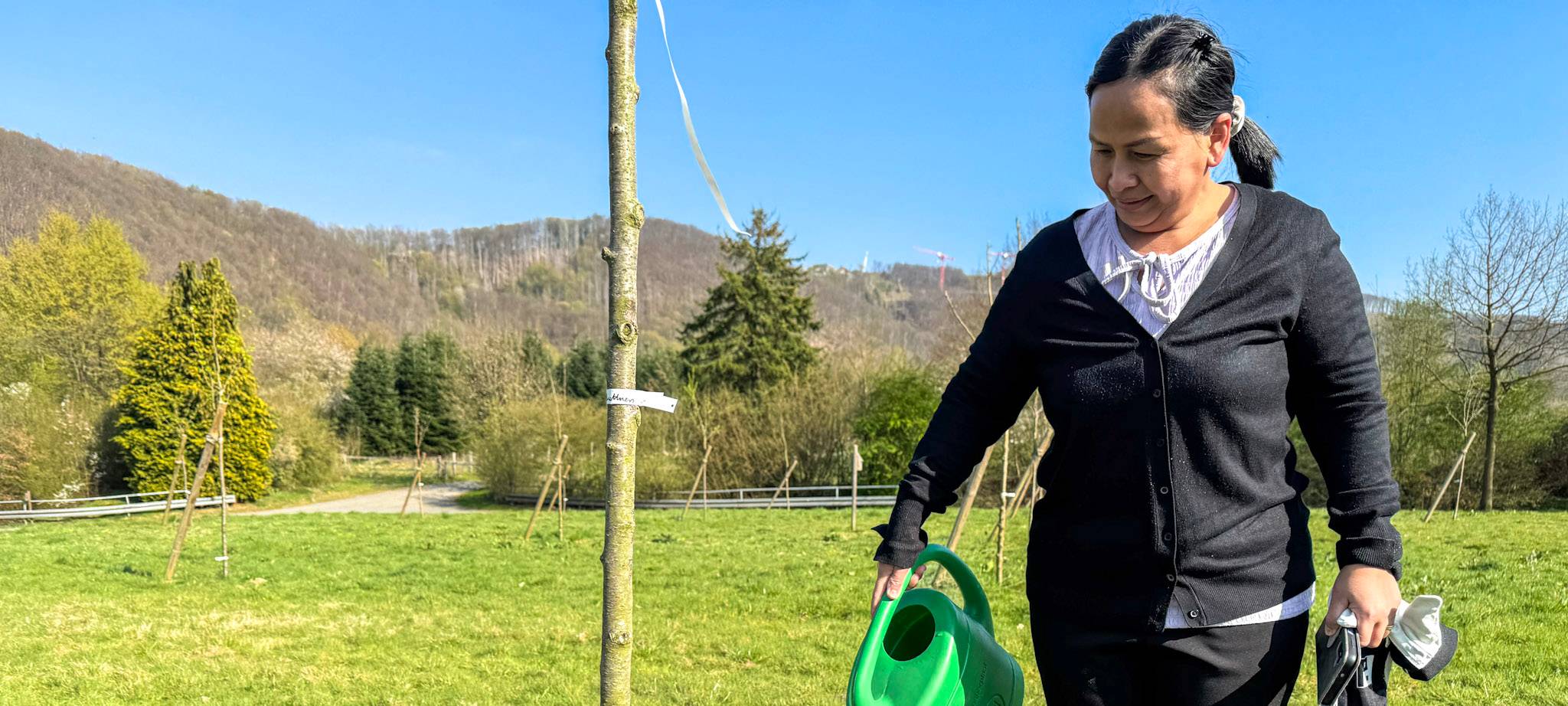 Junge Obstwiese auf Gut Kuhweide