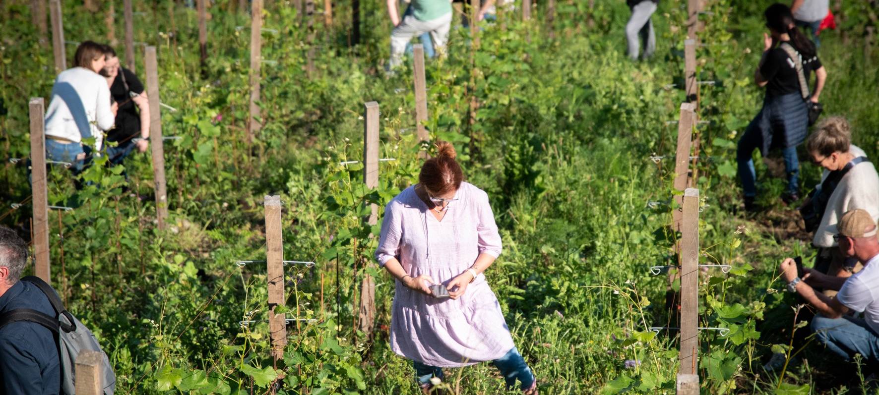 Mehr mit Wein am Koepchenwerk