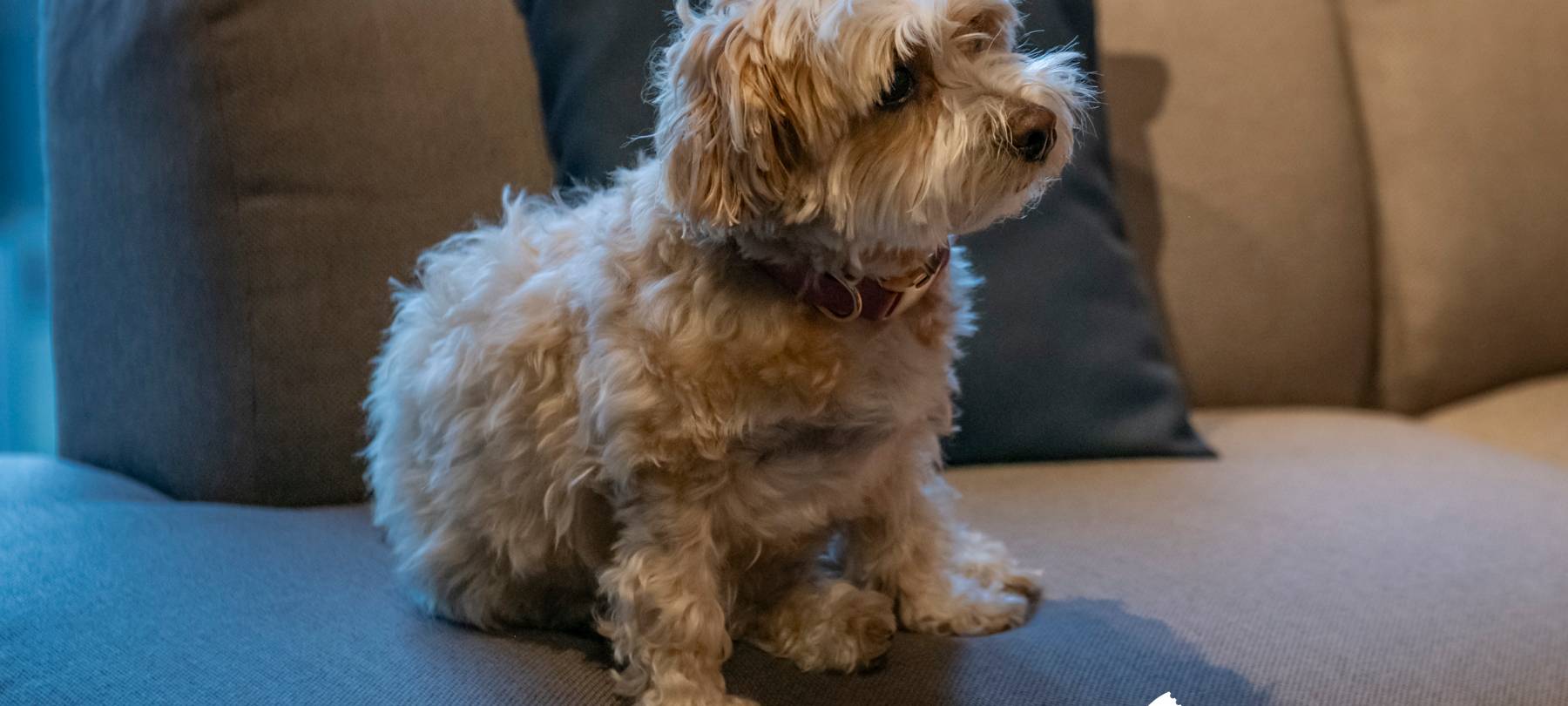 Unser Exklusivkonzert mit Leony: Alle Bilder des Abends