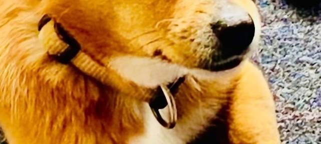 Mandy Im Bann der Zeit