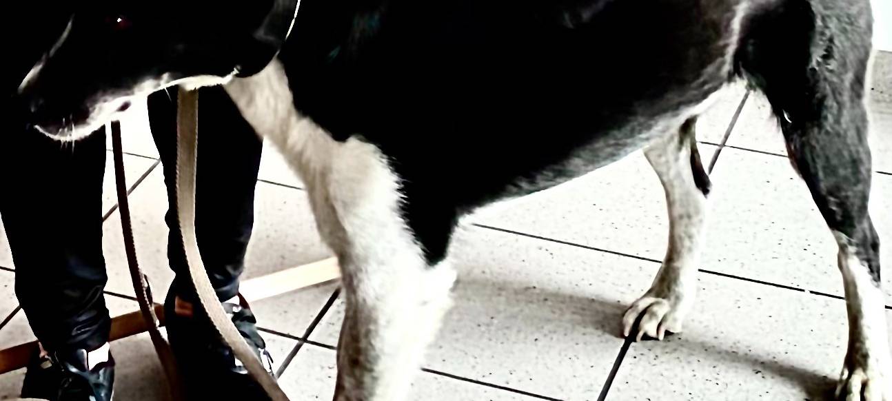 Mandy Im Bann der Zeit