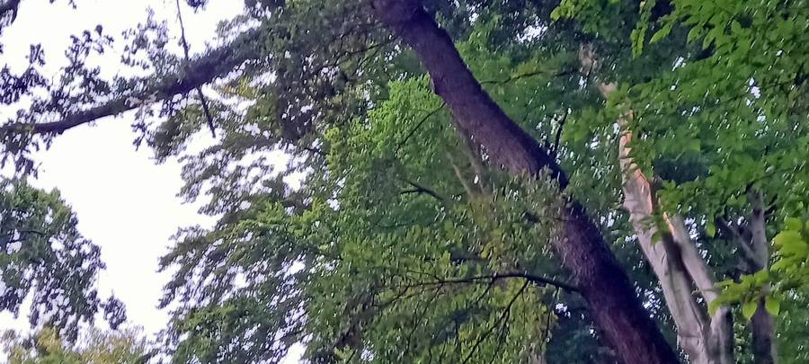 Keine Runde um den Hengsteysee