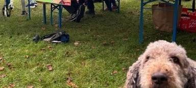 Herbststimmung in Dahl: Bauern- und Kreativmarkt lockt viele Besucher an