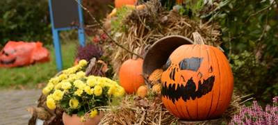 Halloween im Freilichtmuseum Hagen