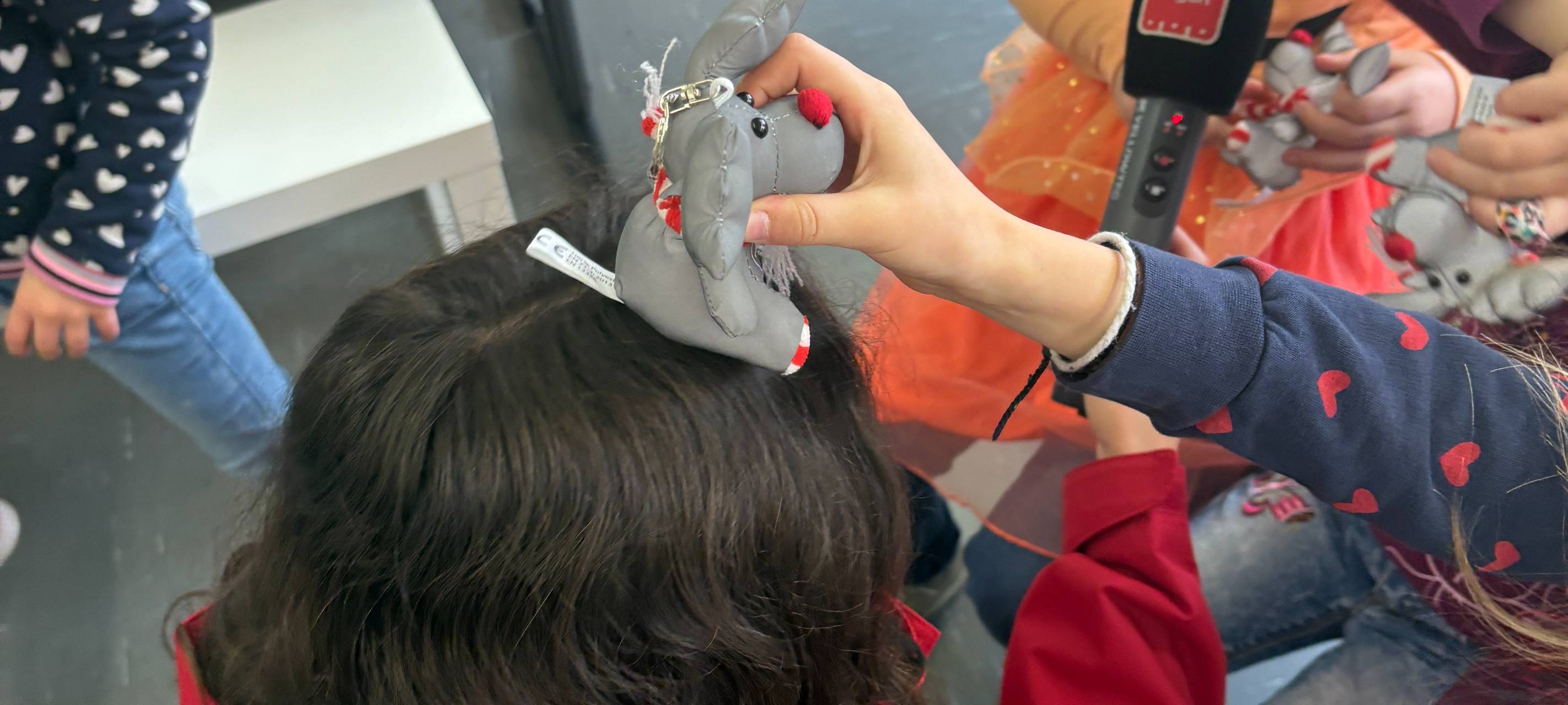 Emil-Aktion 2025 - Überblick