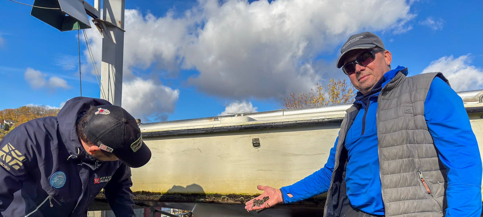 Kleiner Muschelfiesling...