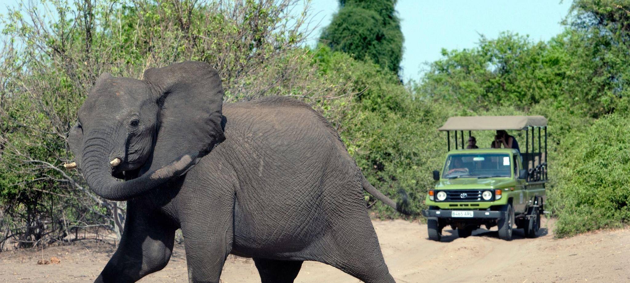 Spaniens Altkönig Juan Carlos