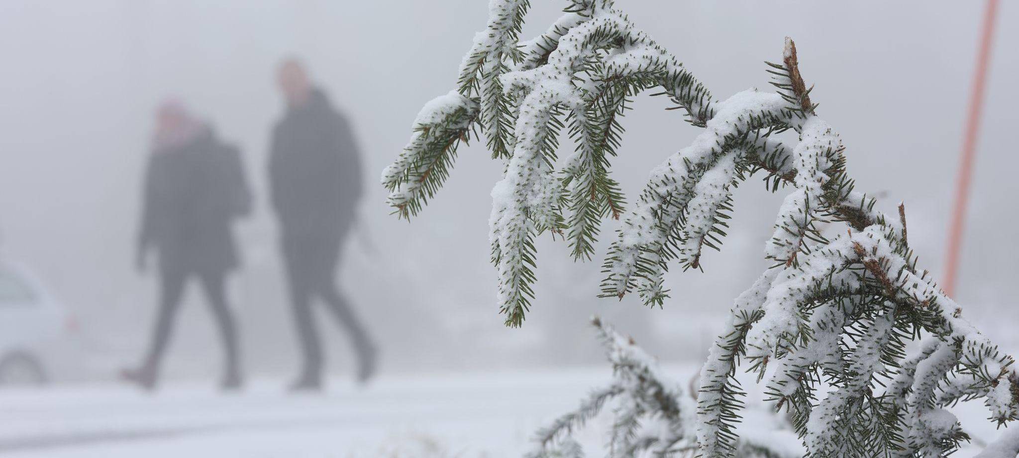Wintereinbruch im Harz